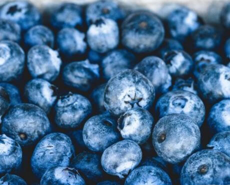 Alimentos azules rico en vitaminas