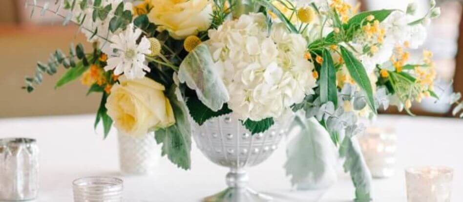 Flores blancas para decoración
