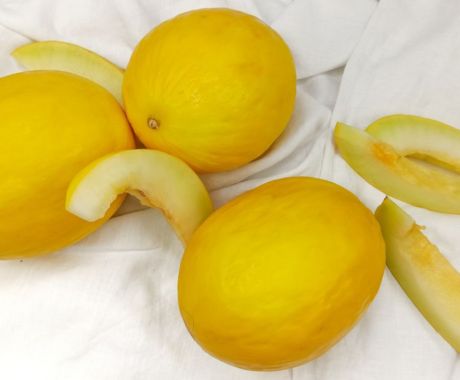 Fruta amarilla refrescante