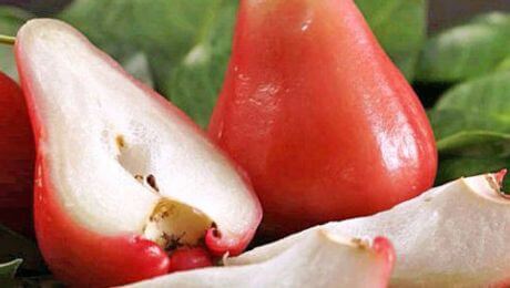 Fruta de color rosa beneficiosa para la salud