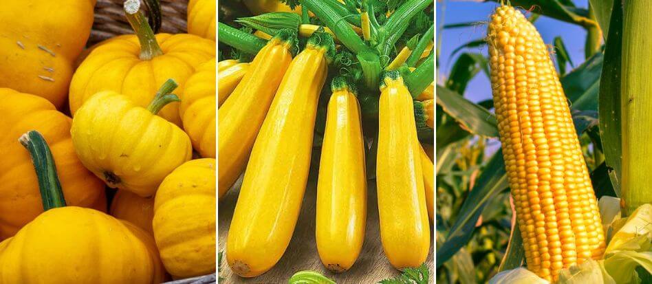 Las verduras son alimentos de color amarillo