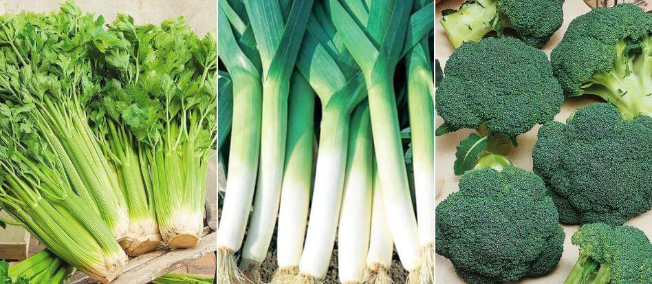 Verduras verdes previenen enfermedades